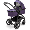 Osann GmbH Osann Poussette Duo Combinée Olé Blackberry Lila 2 Osann GmbH Osann Poussette Duo Combinée Olé Blackberry Lila -Promos Poussettes Boutique osann poussette duo combinee ole blackberry lila a360693